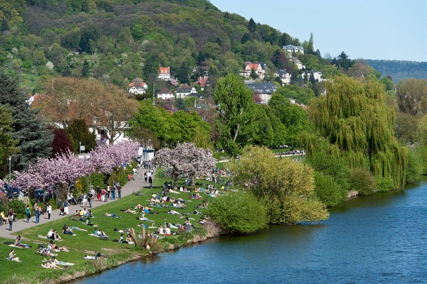 Heidelberg Fiume
