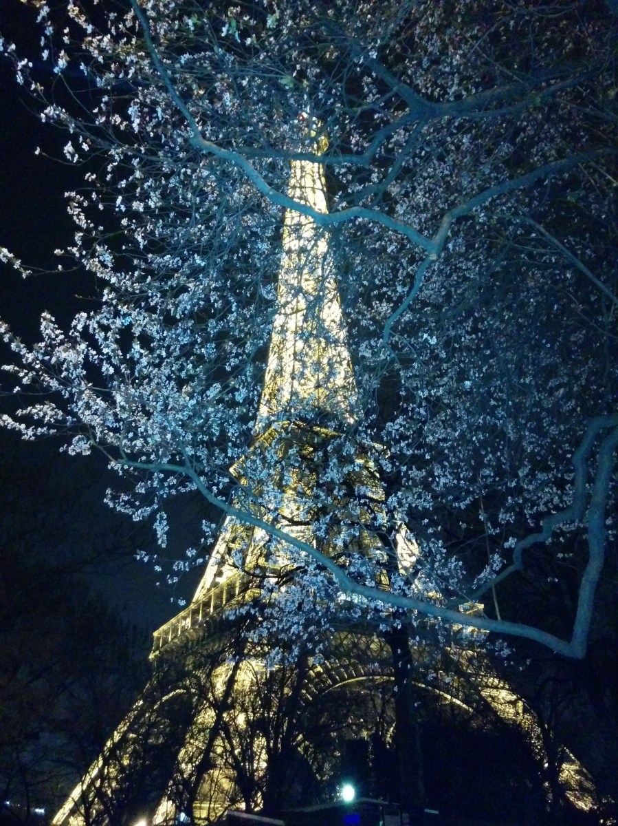 Torre Eiffel Parigi
