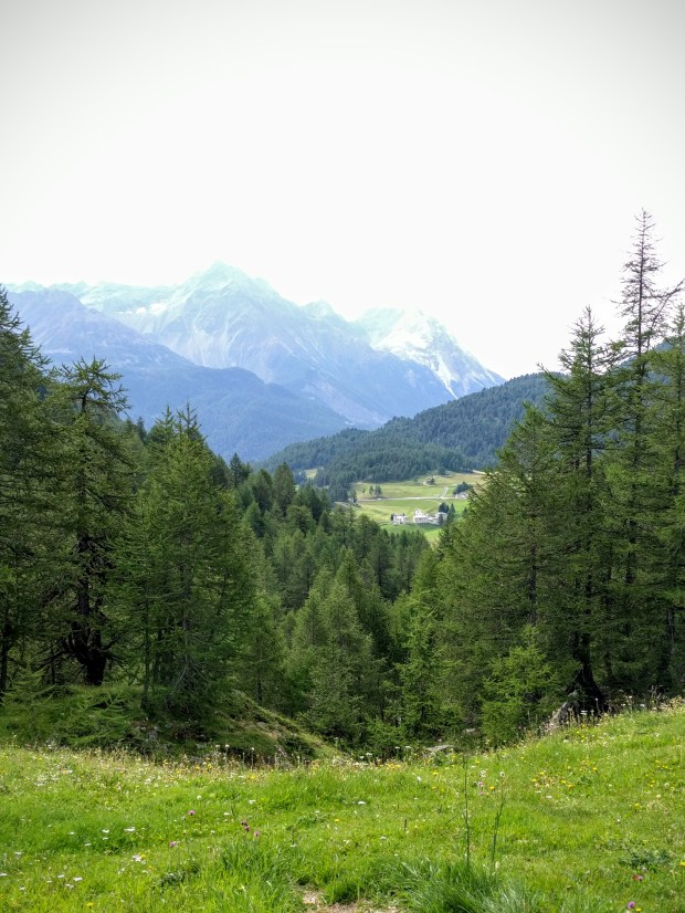 IMG_20160818_101031~2