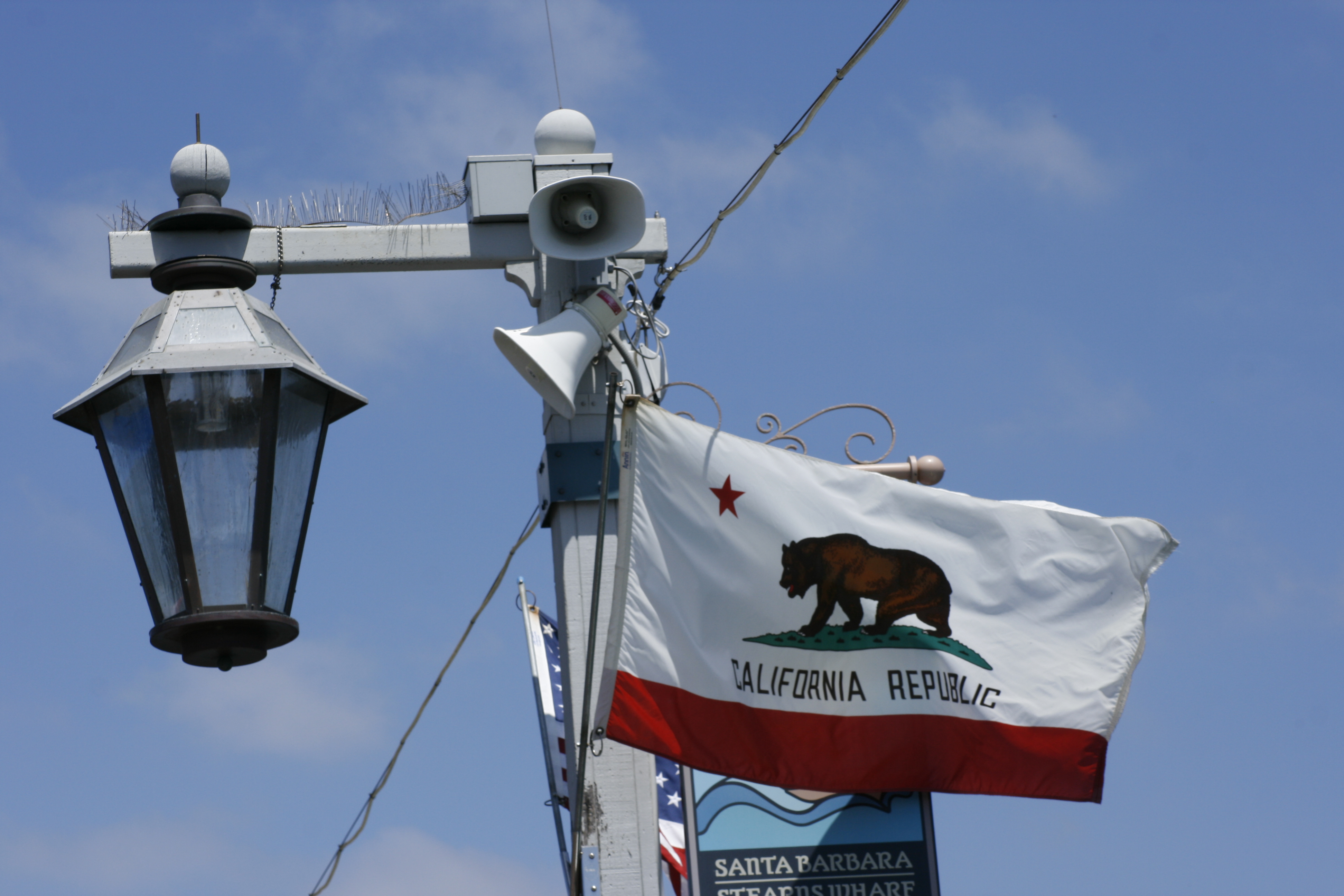 I Bears di San Francisco