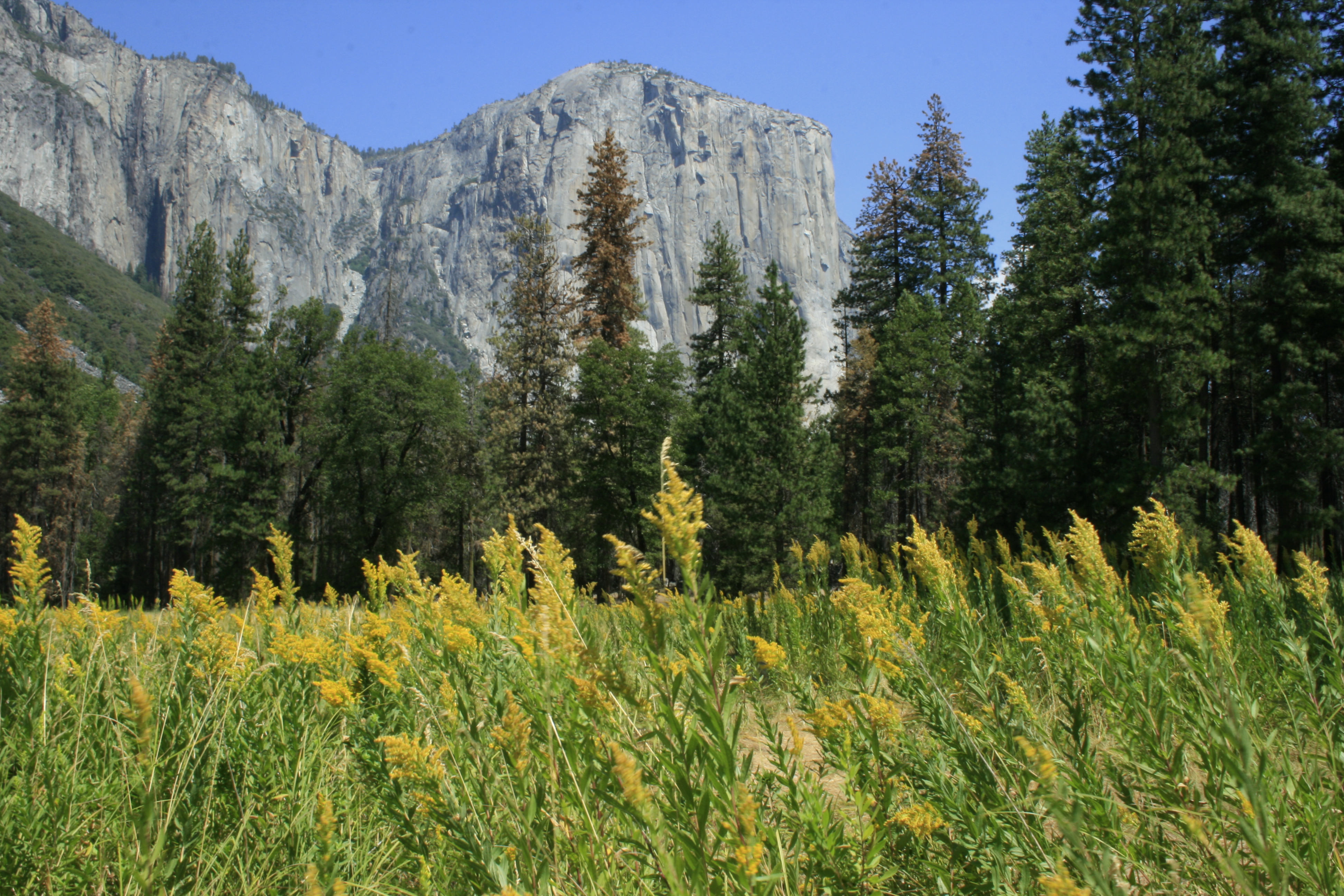 yosemite_4758