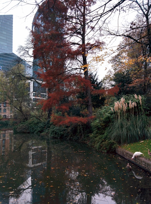 Parco Bruxelles città