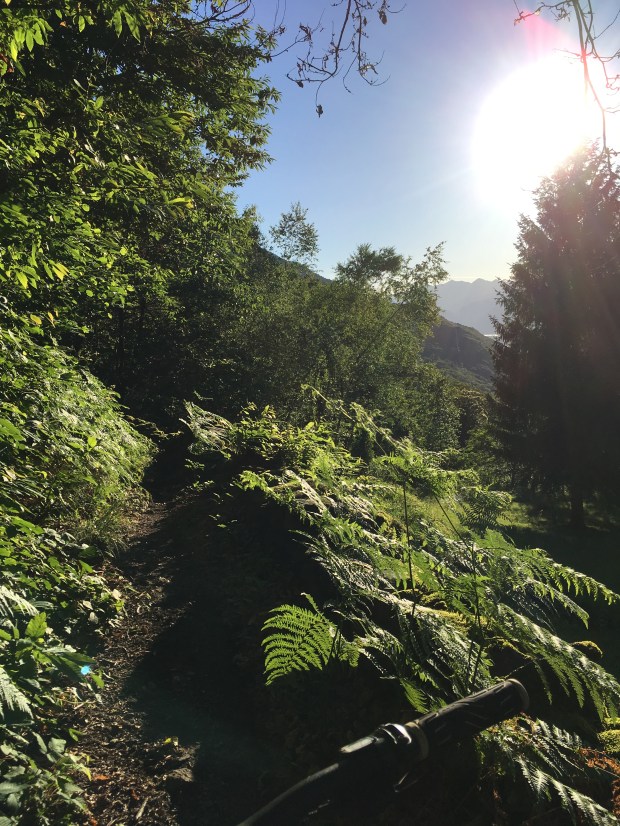 Come in Costa Rica, ma in Val Tellina