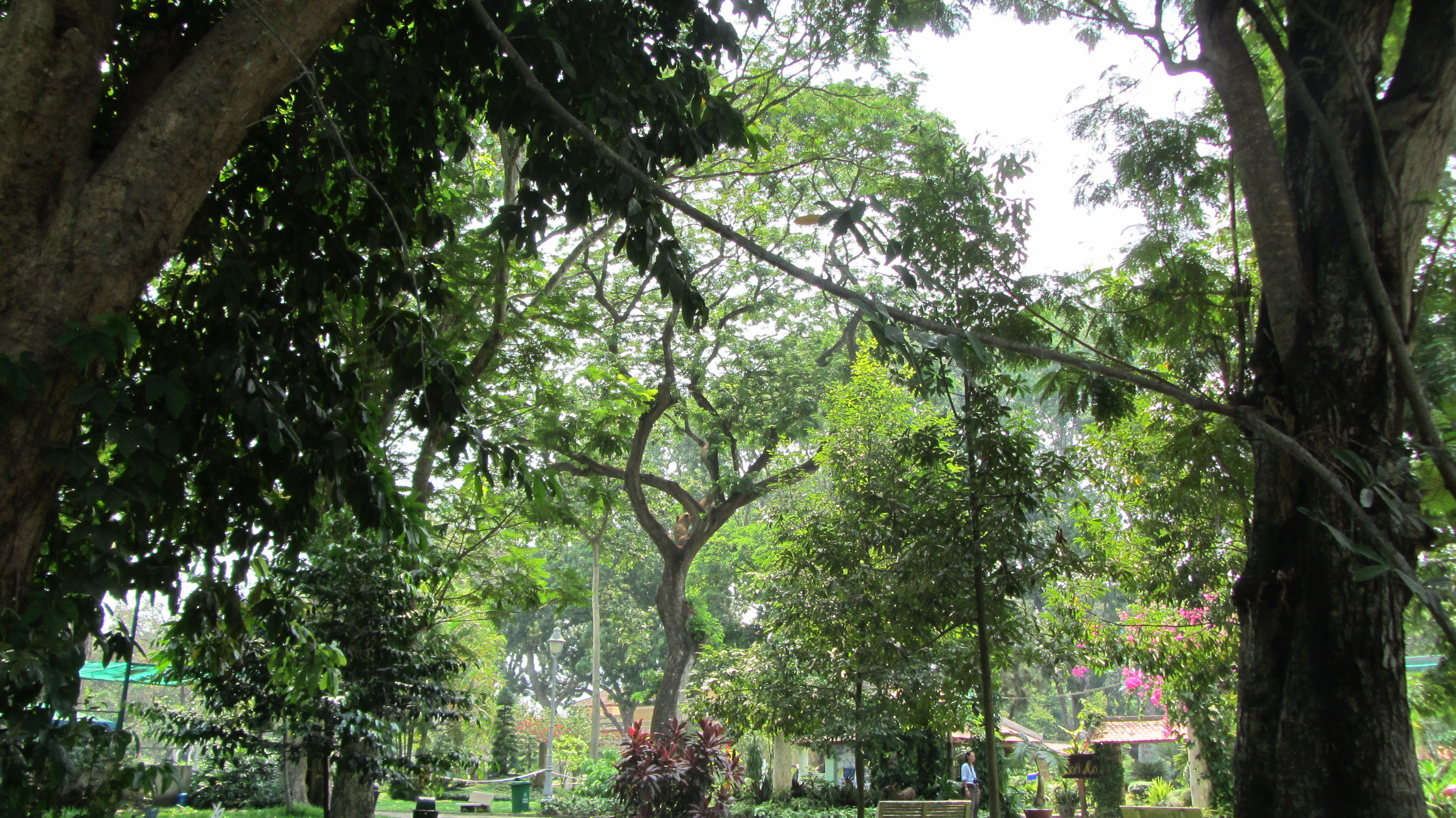 Zoo di Saigon