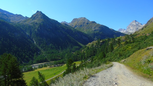 Paesaggio di montagna