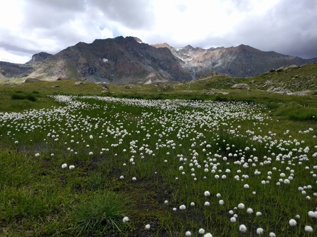Paesaggio naturale Gran Paradiso