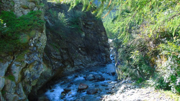 Ruscello nel Gran Paradiso