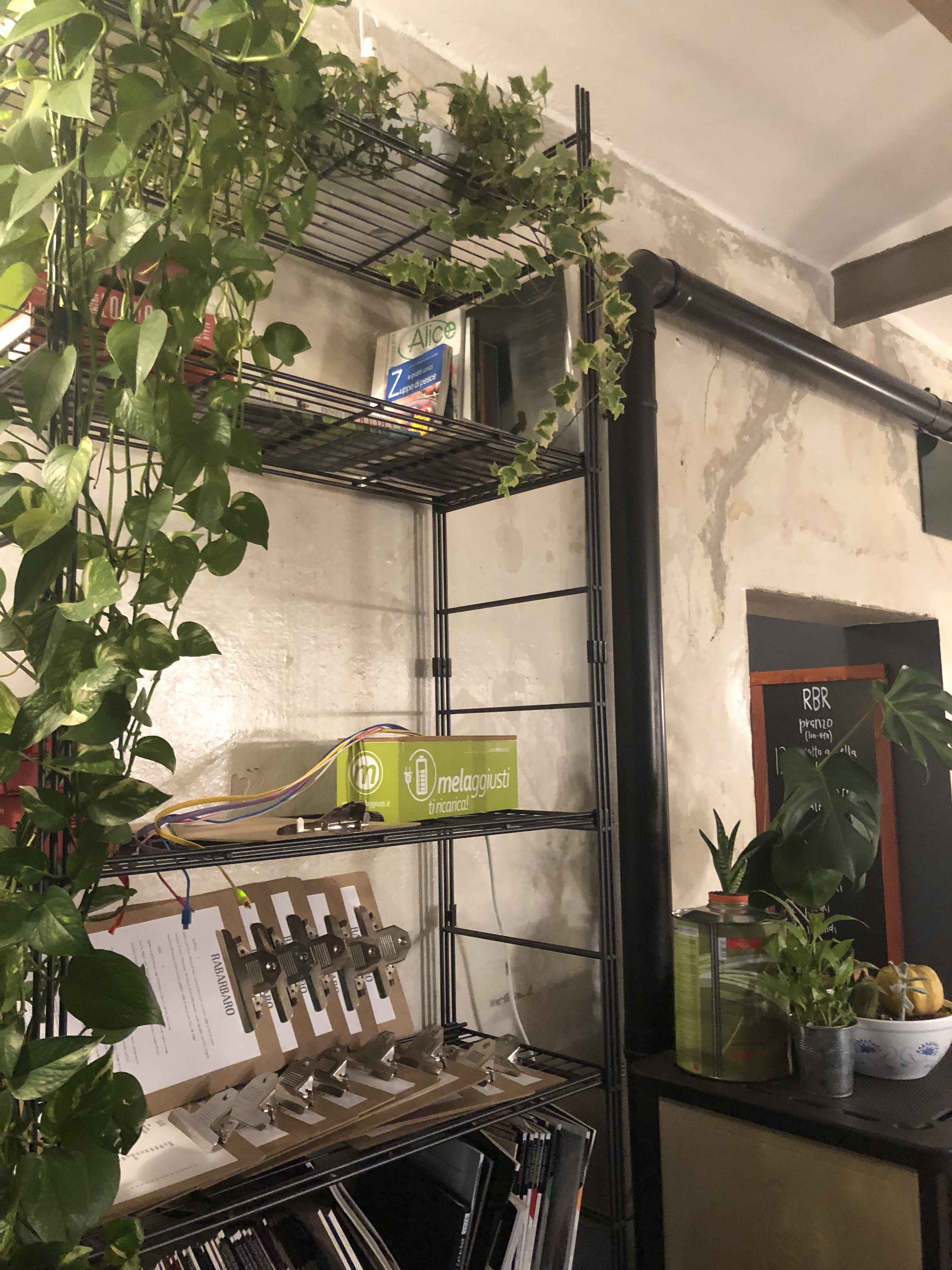 Interno della Taverna Rabarbaro a Piacenza