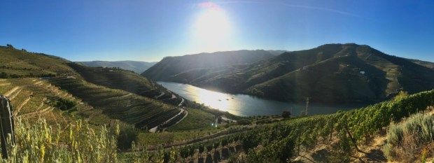 Sulla strada per Coimbra