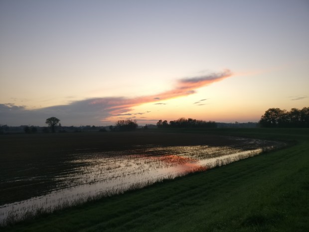 Cosa fare a Piacenza nel weekend