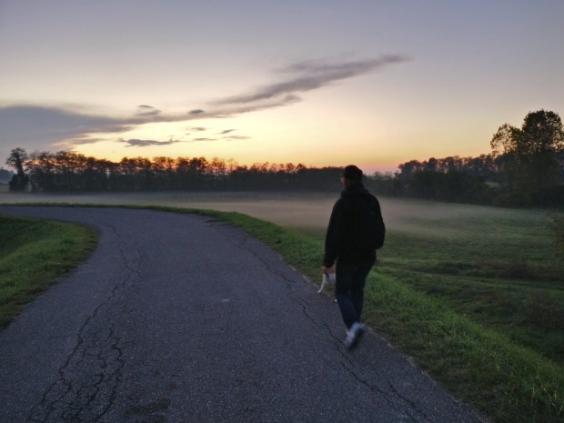 dove camminare a piacenza con il cane