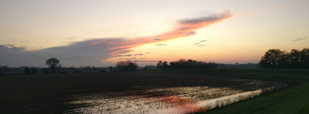 Rossa di Sera, cronache dalla zona rossa