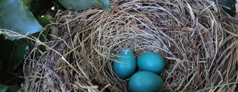 famiglia allargata in quarantena